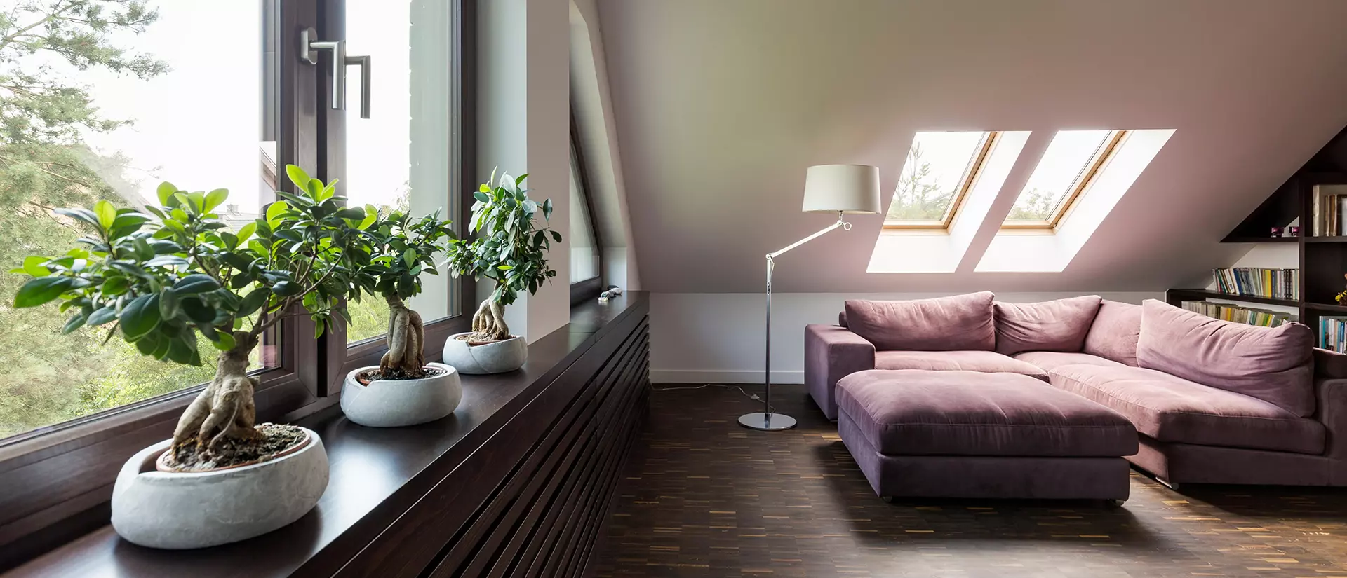 living room velux
