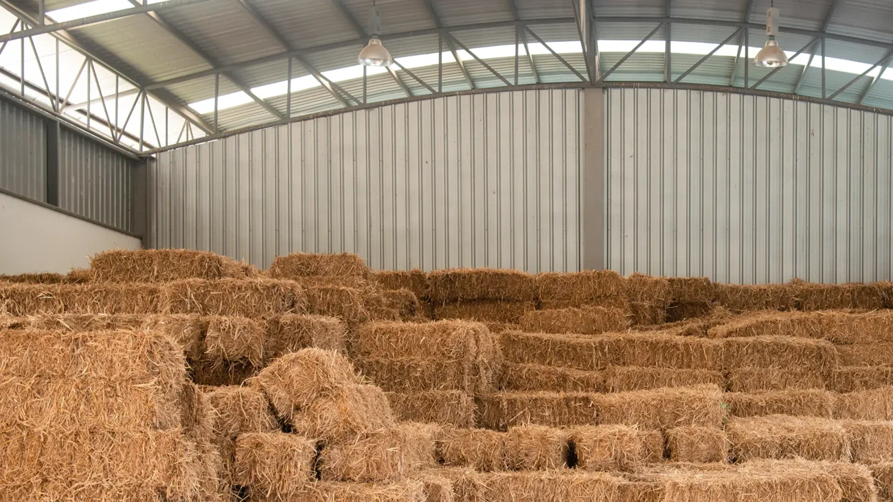 vosstanovlenie razrushennogo sklada na ferme za 30 dnej